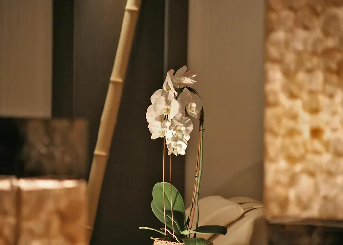 Hotel & Spa Waldecker Hof