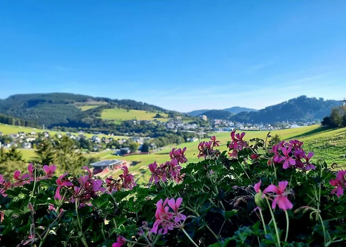 Wald Hotel Willingen